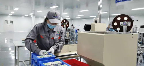 每天15萬 金鯉魚 出 金 入 海 金拓鋰電新能源公司鋰電子正極材料及電池生產(chǎn)項(xiàng)目有序推進(jìn)