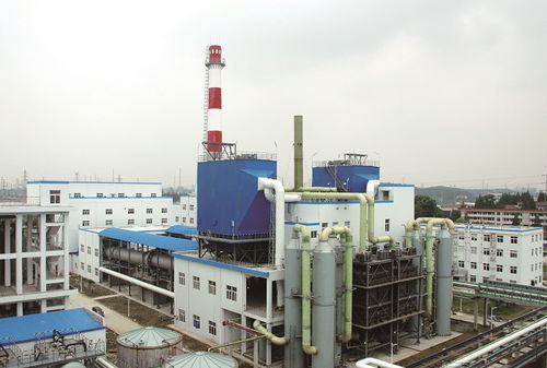 江蘇又殺出 90后女董事長 29歲當(dāng)上a股掌門人,年?duì)I收18.34億