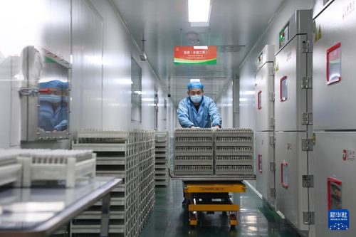 甘肅金昌 新能源和新能源電池產(chǎn)業(yè)集群快速發(fā)展